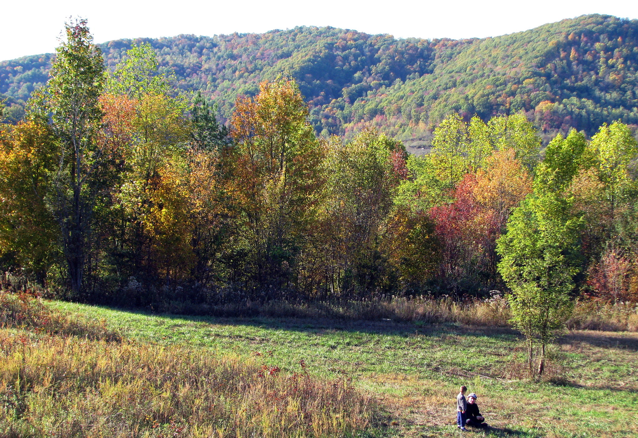 JMRA Vision for a Jellico Mountains Recreation Area